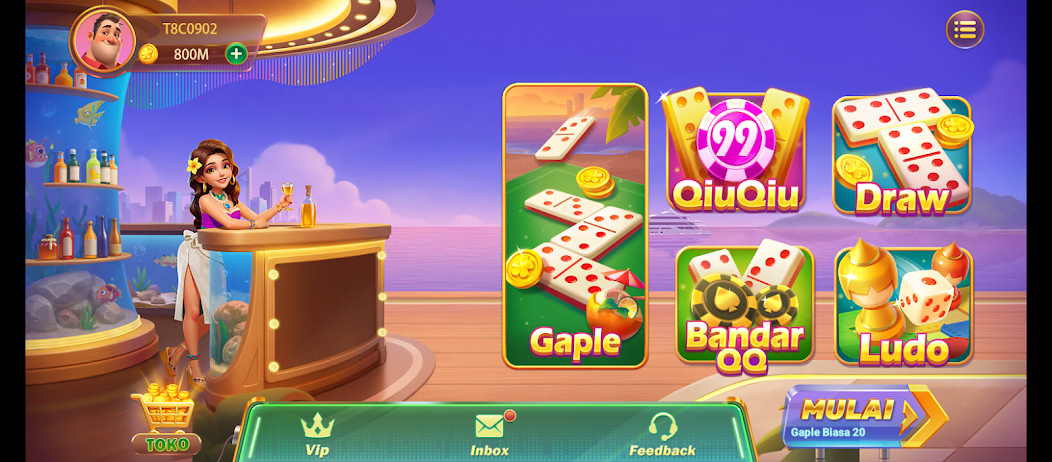 Mega Hoki screenshot