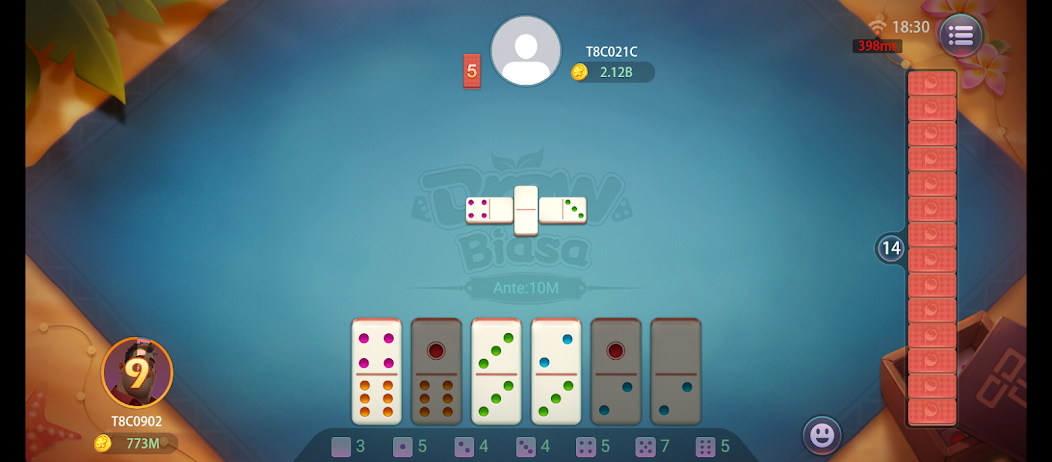 Mega Hoki screenshot 6